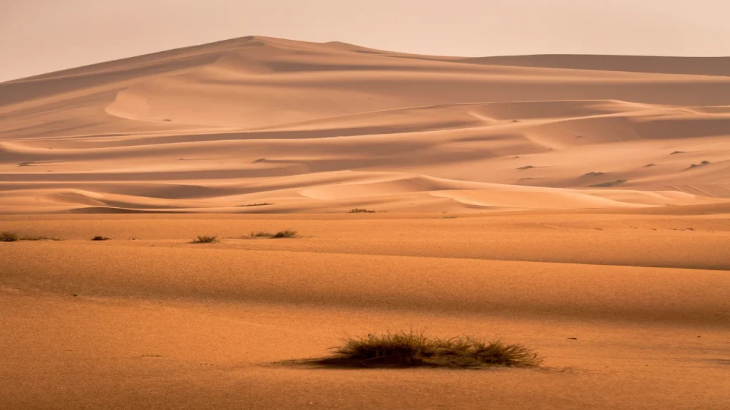 lluvias inusuales en el desierto